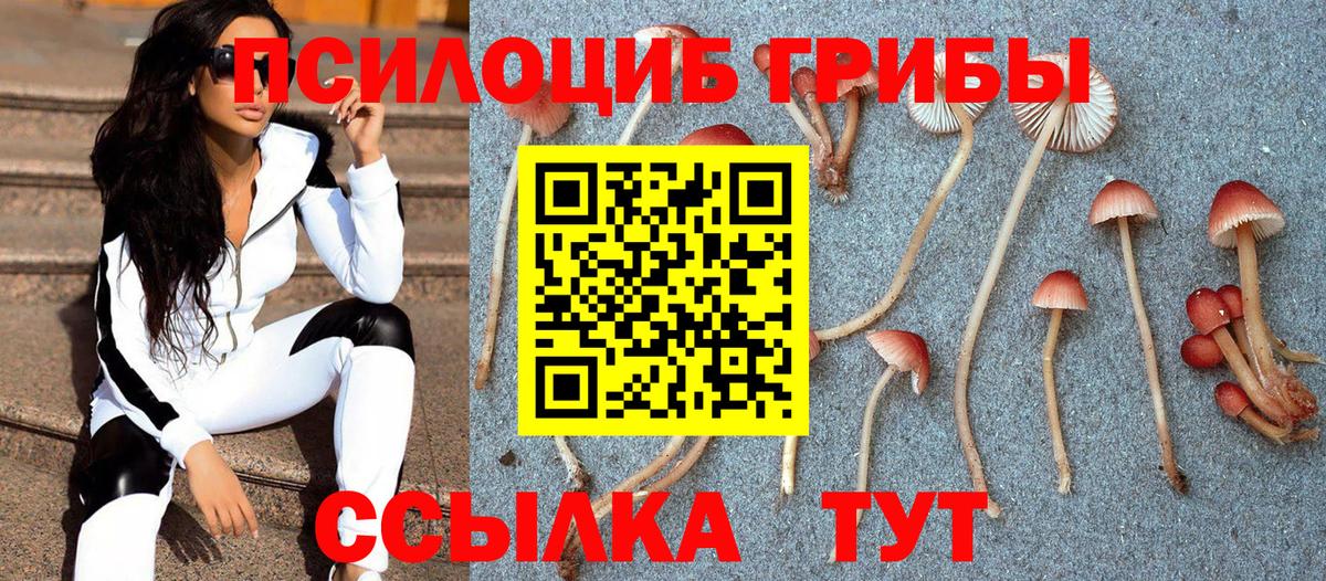 Псилоцибиновые грибы мухоморы  Вход с VPN  Печора 